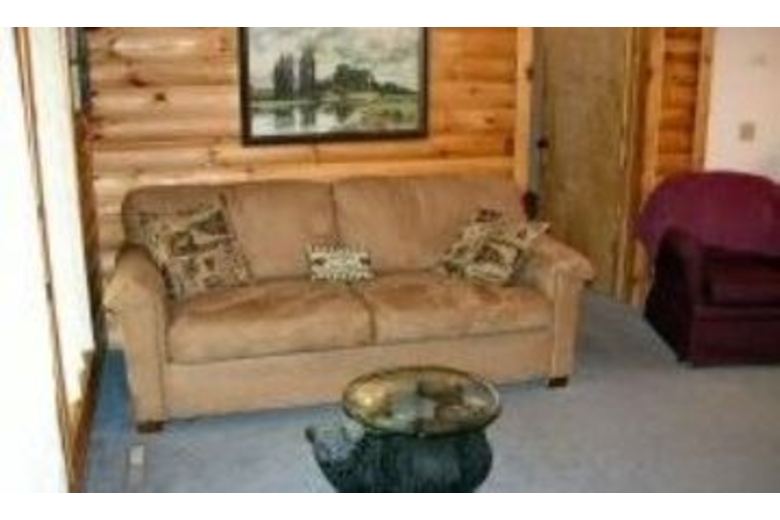 Spacious PetFriendly Log Cabin USA, Missouri, Branson West